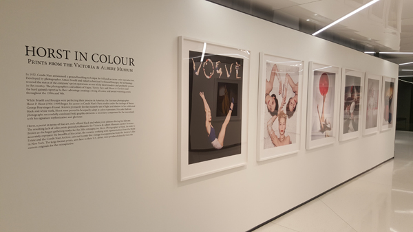 Vinyl Lettering at Conde Nast